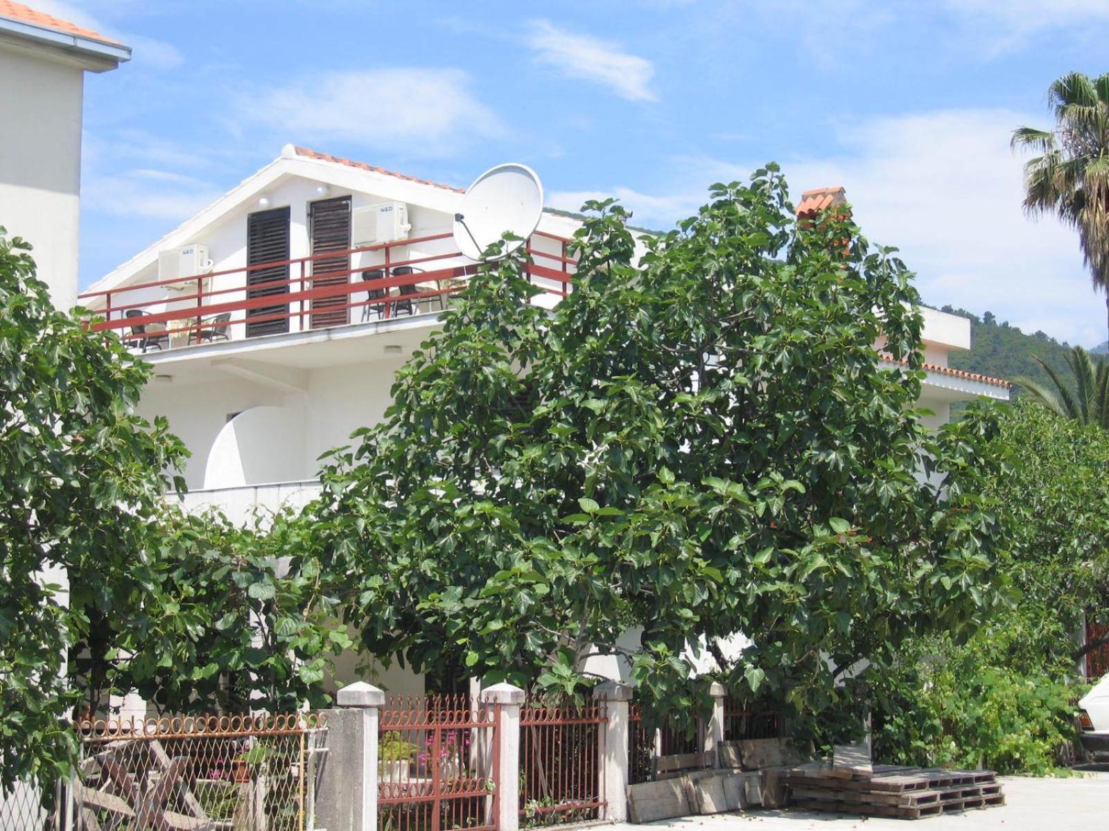 Apartment Franeta *